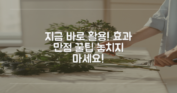 지금 당장 활용해보세요